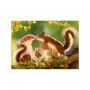 Puzzle Castorland 260el Leśne życie wiewiórek - 3